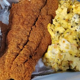Amazing catfish