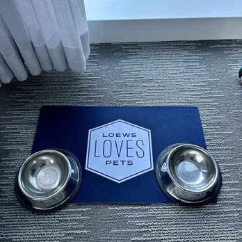 Loews Chicago Hotel - Pet bowls! - Hotels Near Me - Chicago, Illinois Loews Chicago Hotel - Pet bowls! - Hotels Near Me - Chicago, Illinois