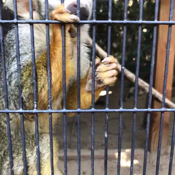 Wildlife Learning Center - Zoos Near Me - Sylmar, California