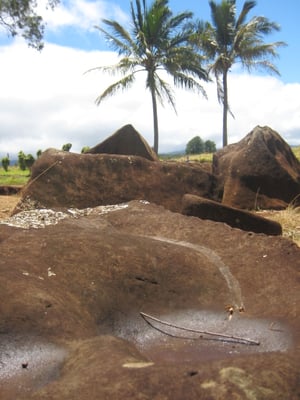 Kukaniloko Birth Stones by null