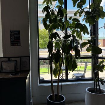 Society 57 - Coffee & Tea Near Me - Aurora, Illinois