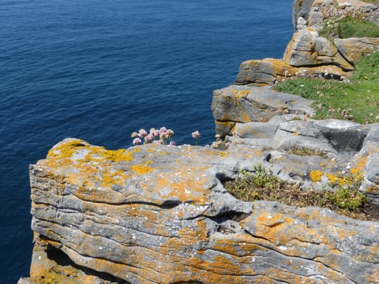 Dún Aonghasa by null