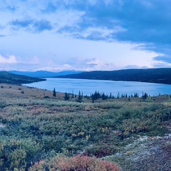 Kantishna Roadhouse - Hotels Near Me - Denali, Alaska