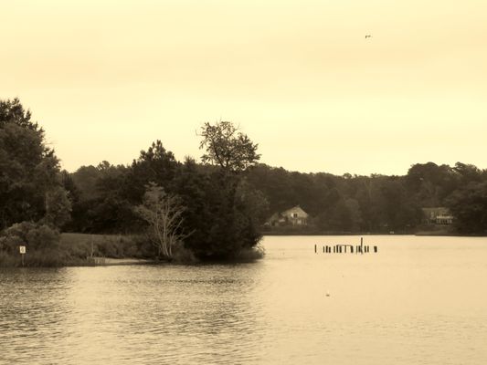 Belle Isle State Park by null