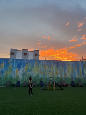 Barkyard n' Brews by null