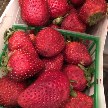 Pedrick Produce - Really bland strawberries. So not worth it - Fruits & Veggies Near Me - Dixon, California Pedrick Produce - Really bland strawberries. So not worth it - Fruits & Veggies Near Me - Dixon, California