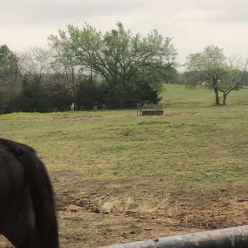 McKinney HorsePlex - No hay in the field. - Horseback Riding Near Me - McKinney, Texas McKinney HorsePlex - No hay in the field. - Horseback Riding Near Me - McKinney, Texas