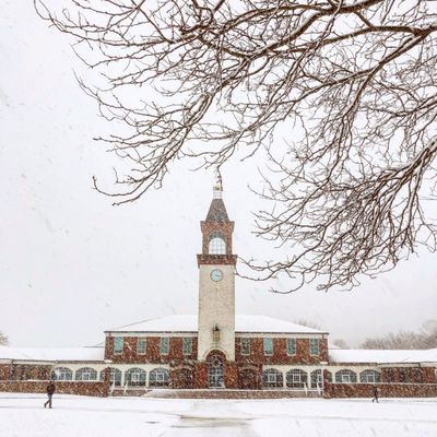 Quinnipiac University by null