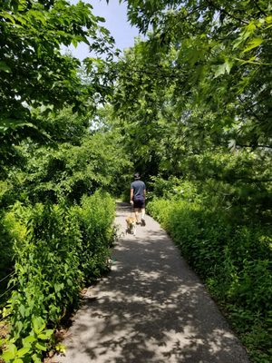 Corktown Common by null