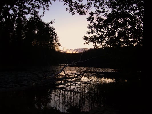 Nuuksio National Park by null