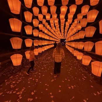 Elite Experience: Dragon Lights Reno - Lantern tunnel - Yelp Events Near Me - Reno, Nevada