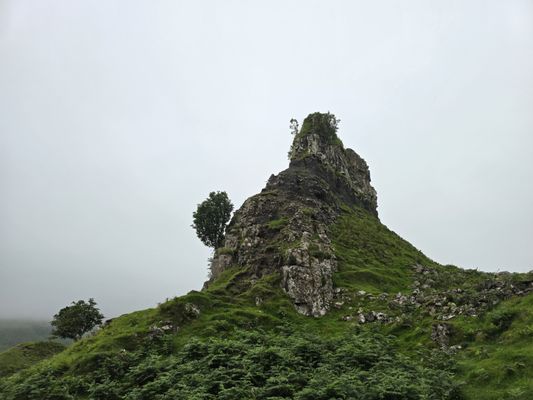 The Fairy Glen by null