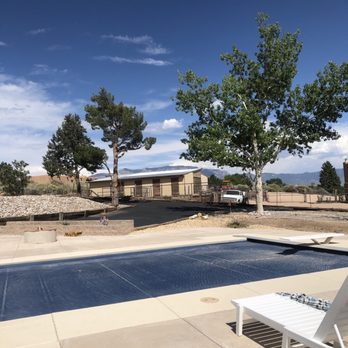 Blossom Trees - Cottonwood trees that has lots of dead limbs - Tree Services Near Me