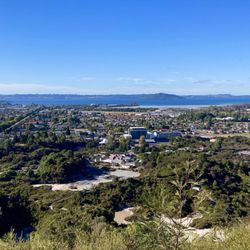 The Redwoods Whakarewarewa Forest - Central Rotorua and Te Puia Geothermal area from the City Lookout on Pohaturoa Track