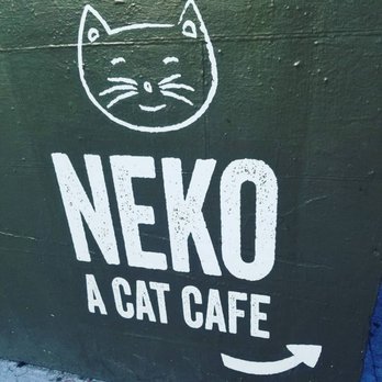 NEKO: A Cat Cafe - Neko - Themed Cafes Near Me - Seattle, Washington