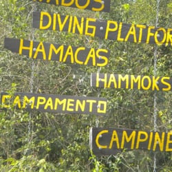 Cenote Las Mojarras - Entrada a Cenote Las Mojarras