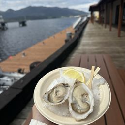 Oysters