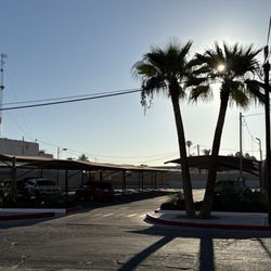 Hospital Almater