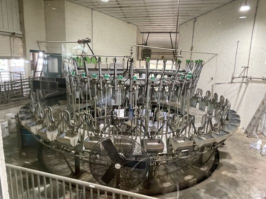 Valley Shepherd Creamery by null