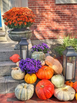 The Merchant by null