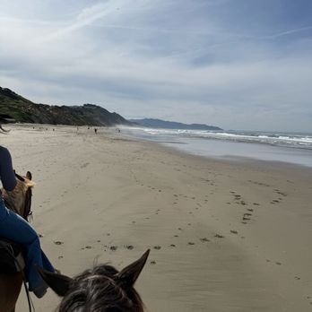 Ocean View Stables - Horseback Riding Near Me - Daly City, California