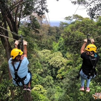 Kohala Zipline - Tours Near Me - Hawi, Hawaii Kohala Zipline - Tours Near Me - Hawi, Hawaii