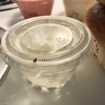 Bagels Plus - $2.00 for Cream cheese. - Bagels Near Me - Tampa, Florida
