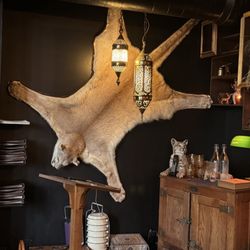 The Lion's Share - Entrance