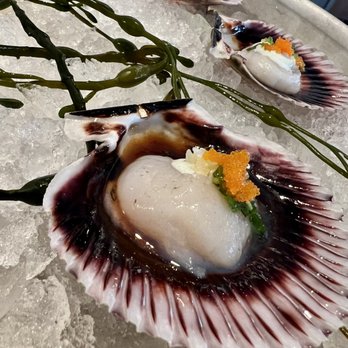 Bluewater Grill Seafood Restaurant & Market Carlsbad - Ponzu Sashimi Sea Scallops - Seafood Near Me - Carlsbad, California Bluewater Grill Seafood Restaurant & Market Carlsbad - Ponzu Sashimi Sea Scallops - Seafood Near Me - Carlsbad, California