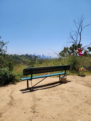 Elysian Park Trail by null