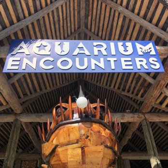 Florida Keys Aquarium Encounters - Entrance - Aquariums Near Me - Marathon, Florida Florida Keys Aquarium Encounters - Entrance - Aquariums Near Me - Marathon, Florida
