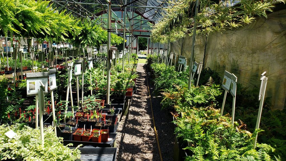 BIG BLOOMERS FLOWER FARM 153 Photos & 32 Reviews 275 Pressly