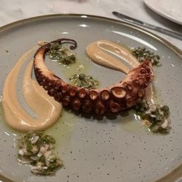 Octopus Octopus