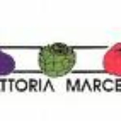 Trattoria Marcella