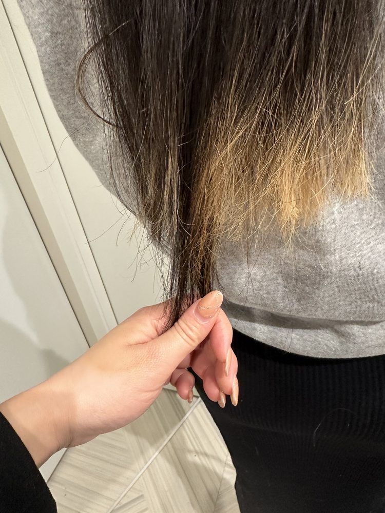 The Style Lounge Salon Logo