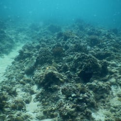Camayan Divers