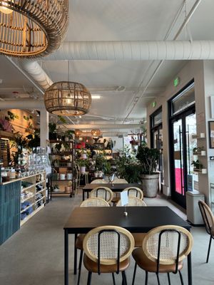Shop Halo Halo by null