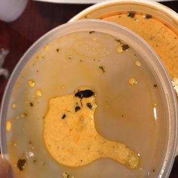Mayuri Express - That is a roach in the butter curry from their lunch combo deal - Indian Near Me - Houston, Texas Mayuri Express - That is a roach in the butter curry from their lunch combo deal - Indian Near Me - Houston, Texas
