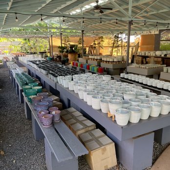 Mari's Gardens - Pots - Nurseries & Gardening Near Me - Mililani, Hawaii