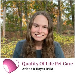 Ariana R Hayes DVM - Ariana R Hayes DVM - Fall 2026