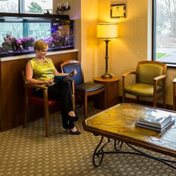 Lee J Simon, DDS