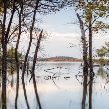 Sequoyah-State Park - Hotels Near Me - Hulbert, Oklahoma