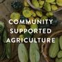 Photo of Rockland Community Farm Network