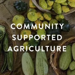 Rockland Community Farm Network