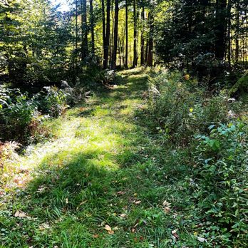 Bradford Putnam Wetlands - Hiking Near Me - Bennington, Vermont