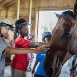 Camp Speers YMCA in the Poconos