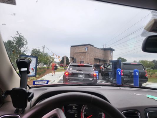 Dutch Bros Coffee by null