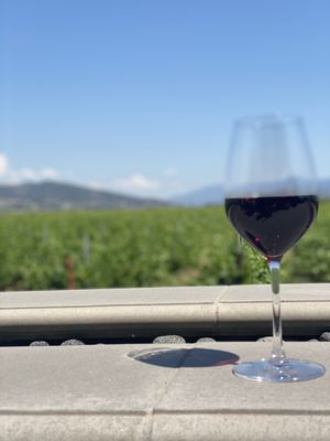 Bottaia Winery by null