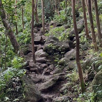 Waimano Falls Trail - Hiking Near Me - O‘ahu, Hawaii