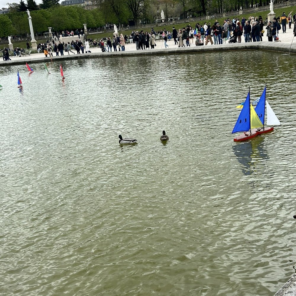 Jardin du Luxembourg - Parks Near Me - Paris, 75 Jardin du Luxembourg - Parks Near Me - Paris, 75